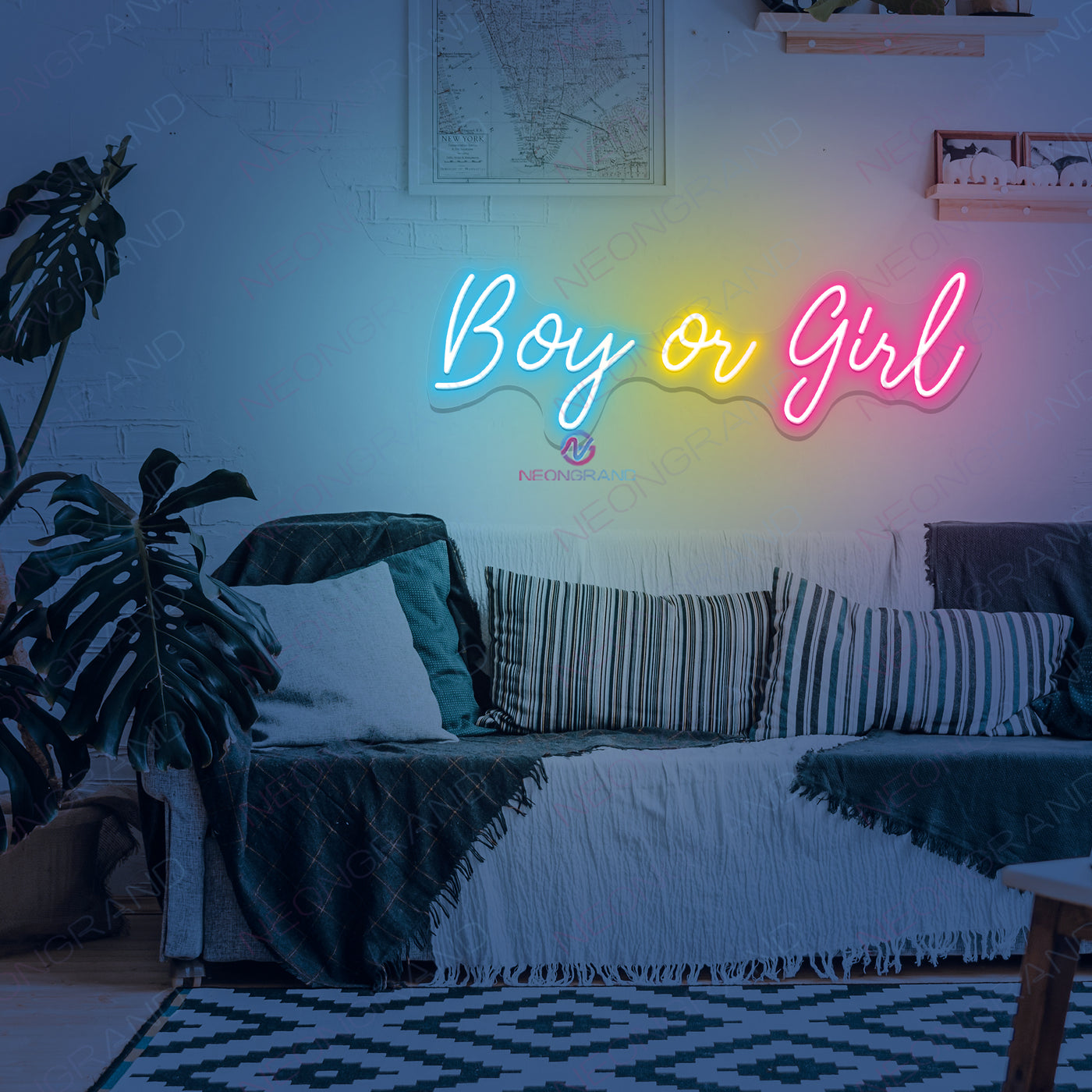 Boy Or Girl Neon Sign LED Word Lights