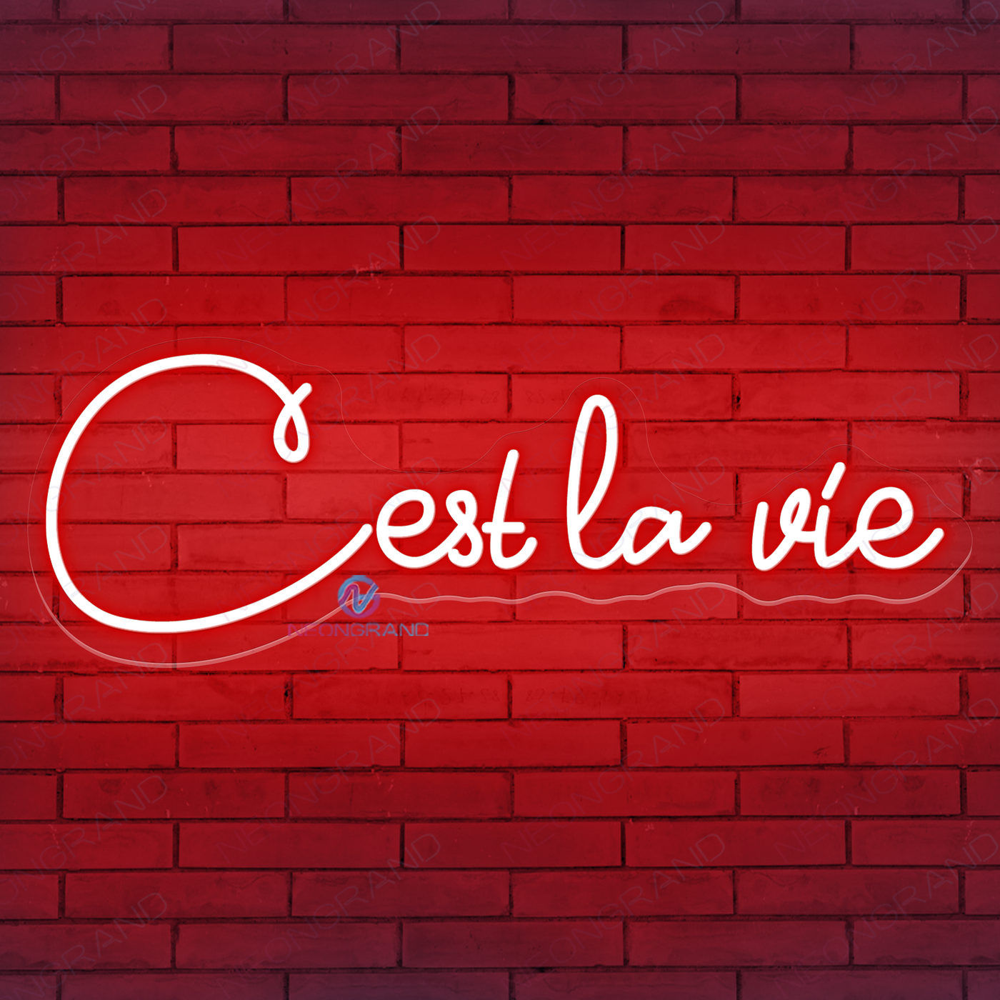 C'est La Vie Neon Sign Led Word Lights