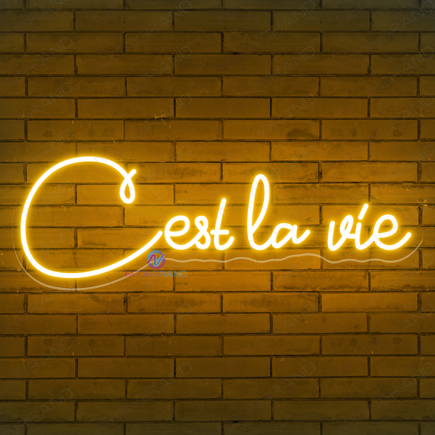 C'est La Vie Neon Sign Led Word Lights