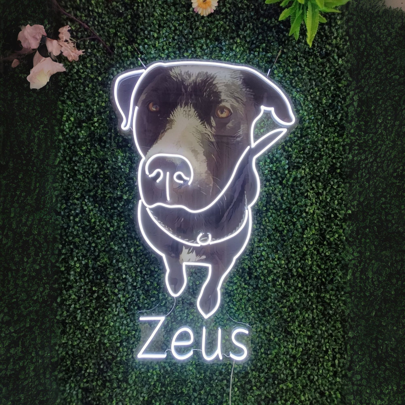 Custom Dog Neon Sign Led Light Decoration