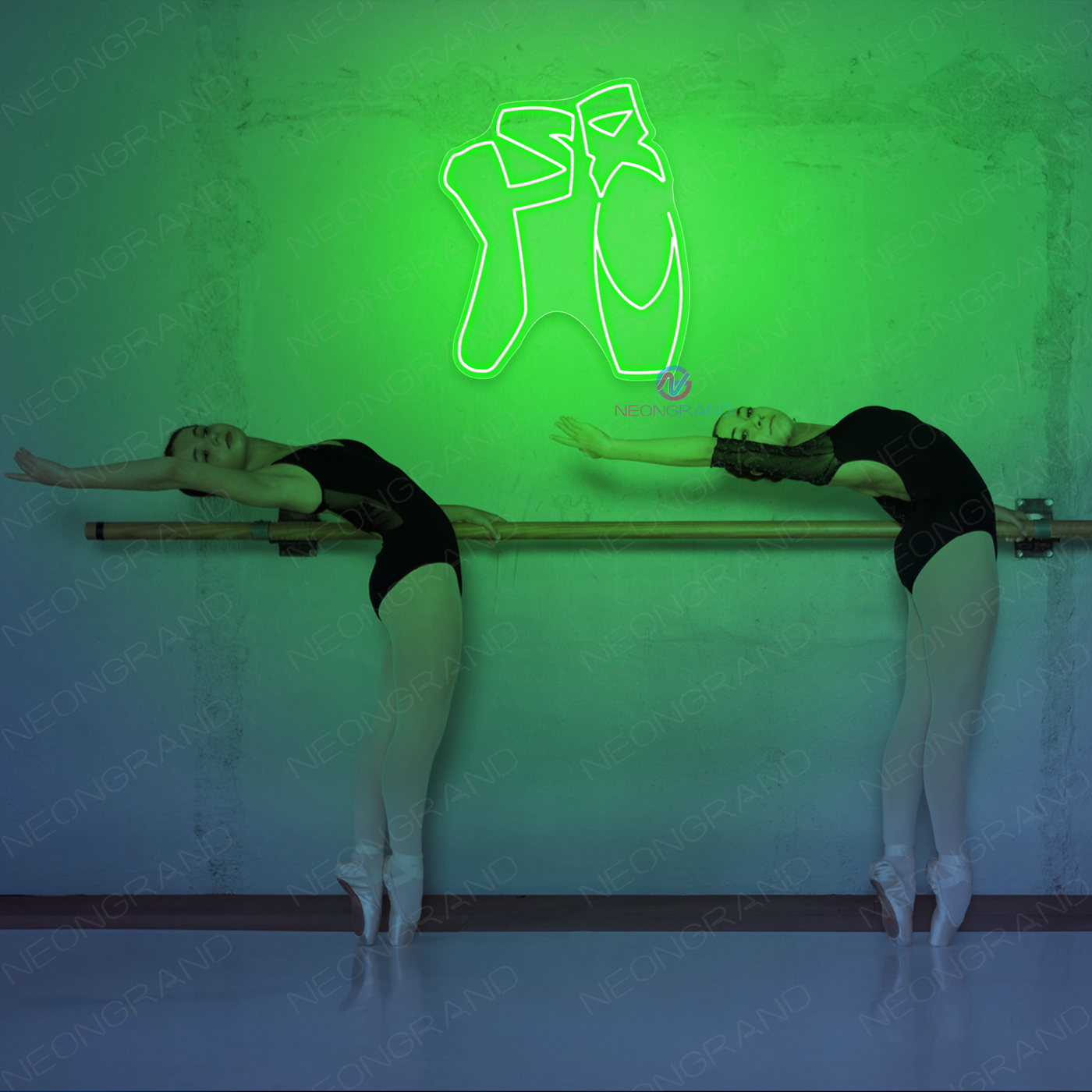 Dance Neon Sign Ballet Shoes LED Light