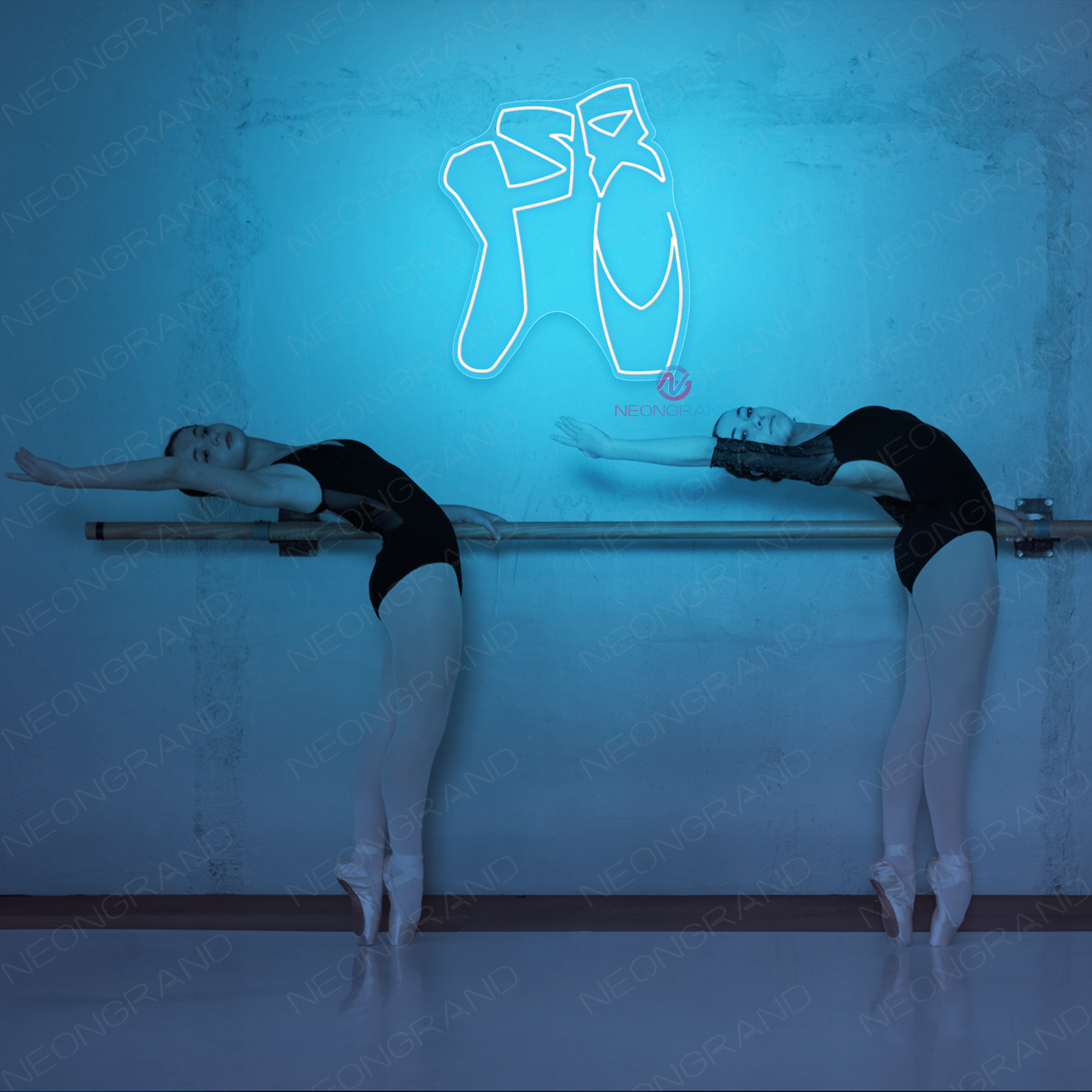 Dance Neon Sign Ballet Shoes LED Light