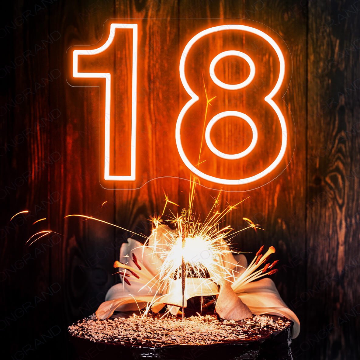 18 Neon Sign Custom Age Birthday Led Light