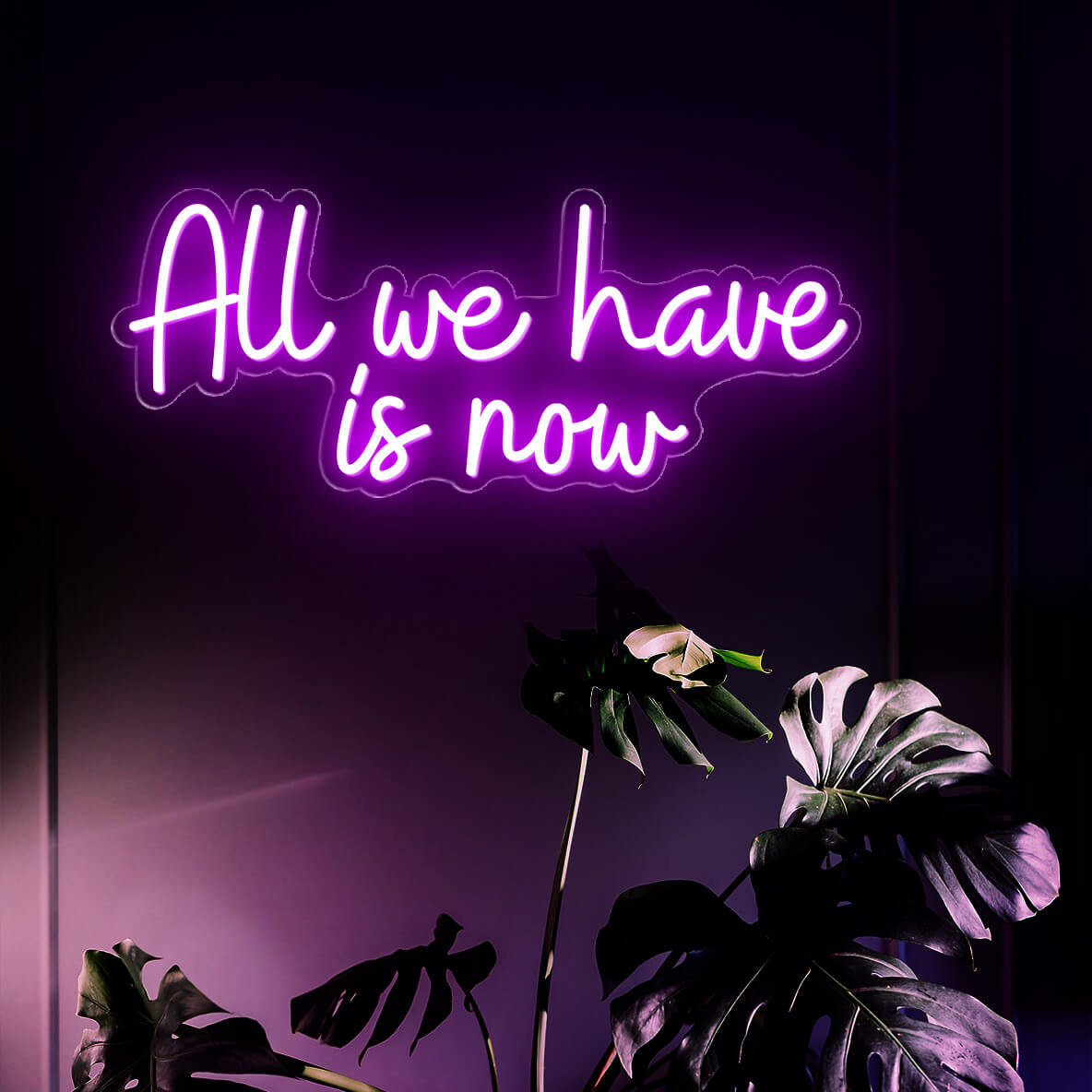 All We Have Is Now Neon Sign Led Light Purple