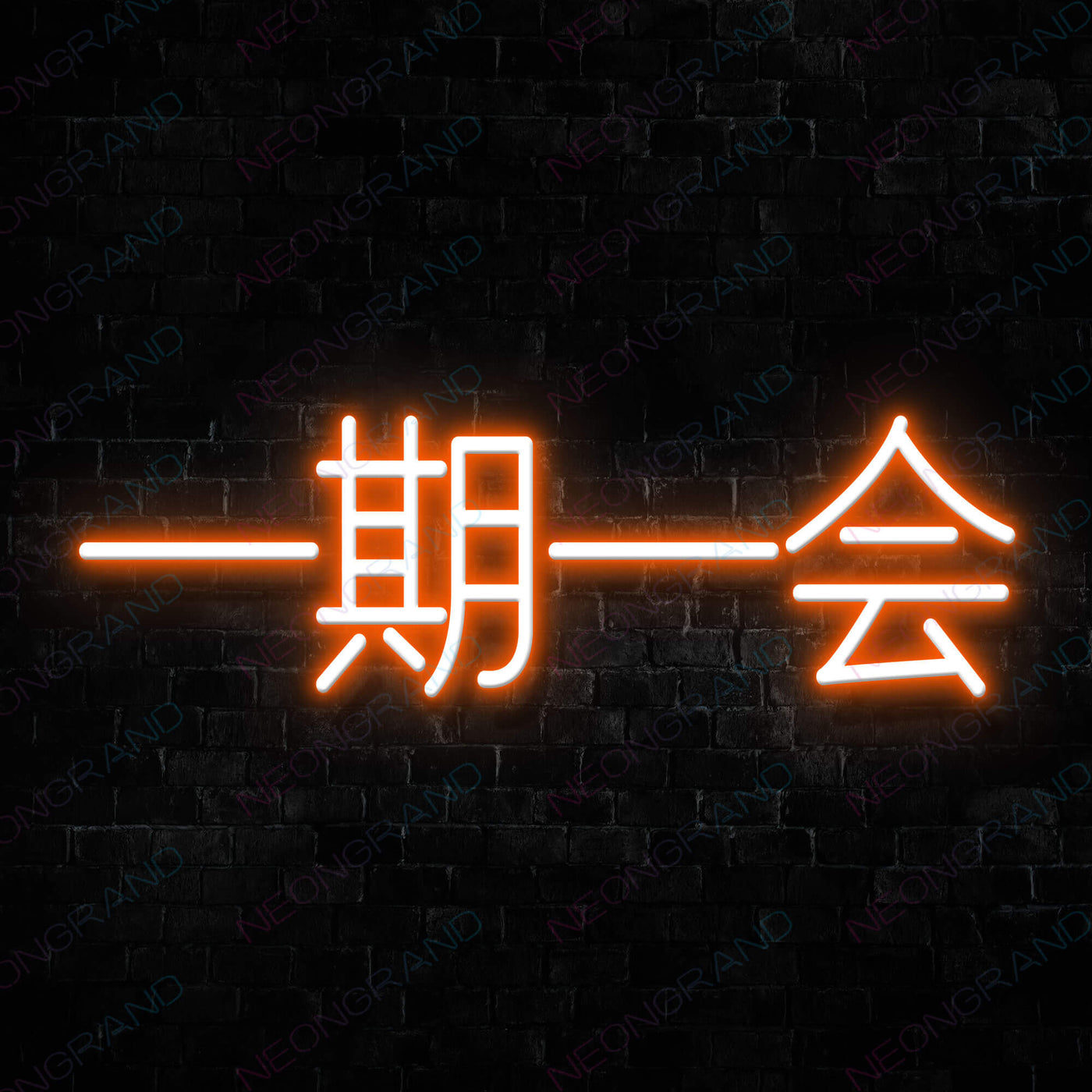 Once In A Lifetime Japanese Neon Sign DarkOrange
