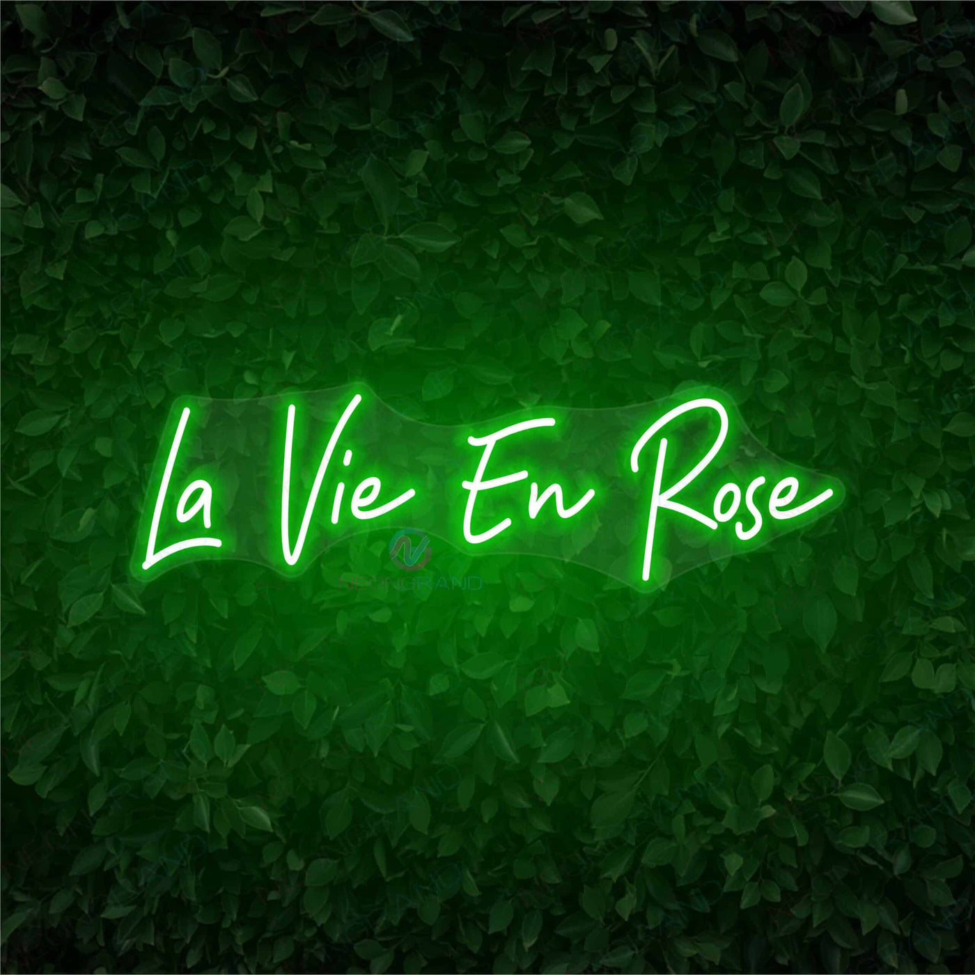 La Vie En Rose Neon Sign Led Light--GREEN