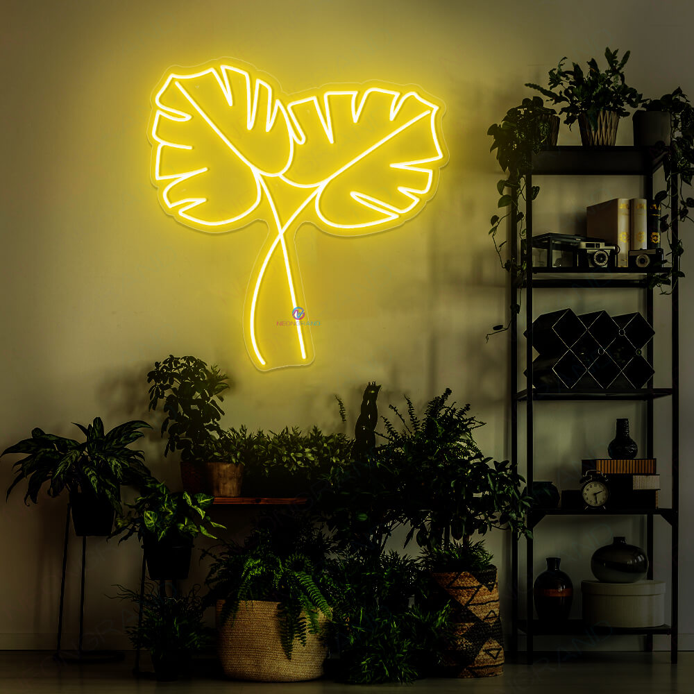monstera pflanze wassertropfen Hydro XXL Monstera am Stab, 120-140cm – Green Me Up main image 1