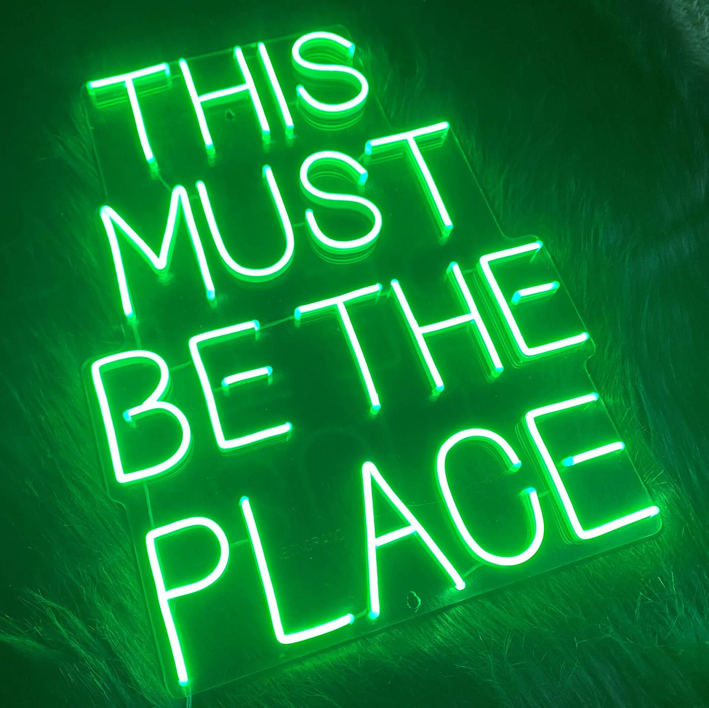 This Must Be The Place Neon Sign Led Light Neon Green Sign