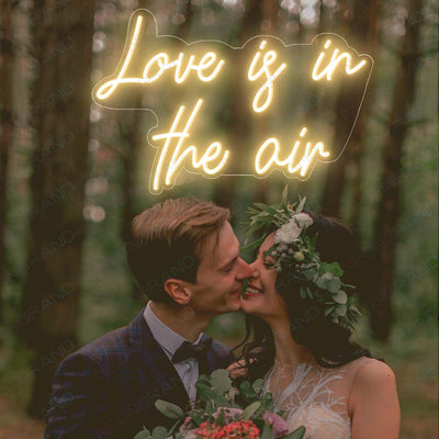 Love Is In The Air Neon Sign Wedding Led Light2