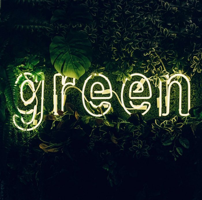 green led neon signs